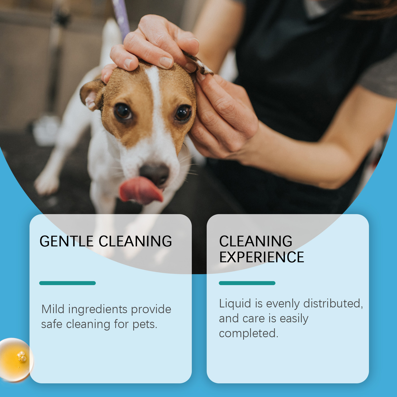 Köpekler ve Kediler İçin Kulak - Pet Ear Cleaner incelemesi ve fiyatı