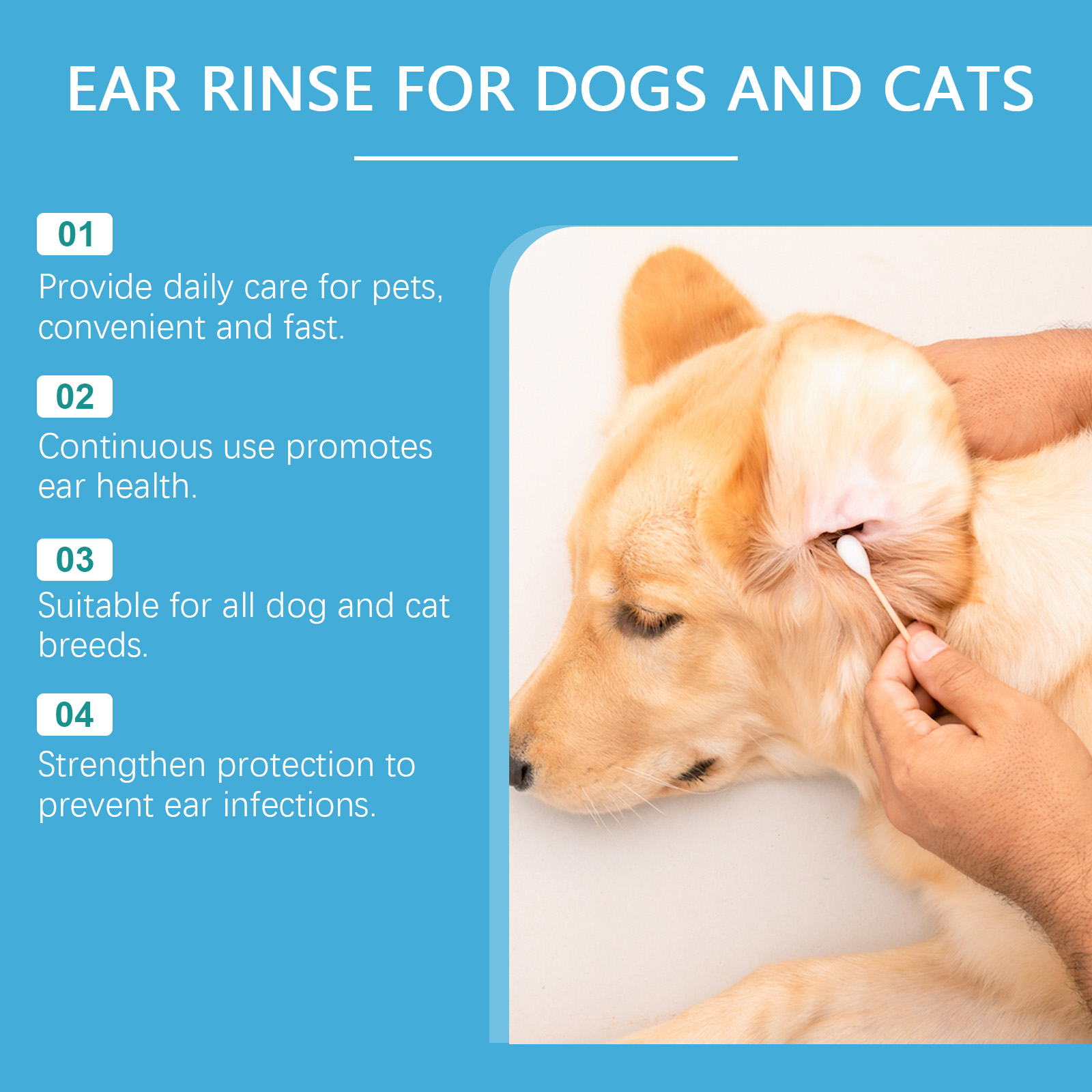 Köpekler ve Kediler İçin Kulak - Pet Ear Cleaner incelemesi ve fiyatı