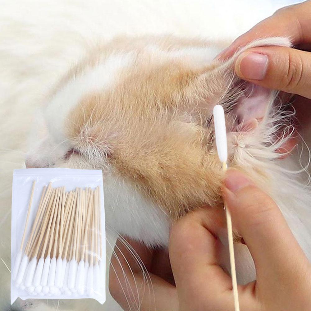 50/100 adet pamuk çubukları kö - Pet Ear Cleaner incelemesi ve fiyatı