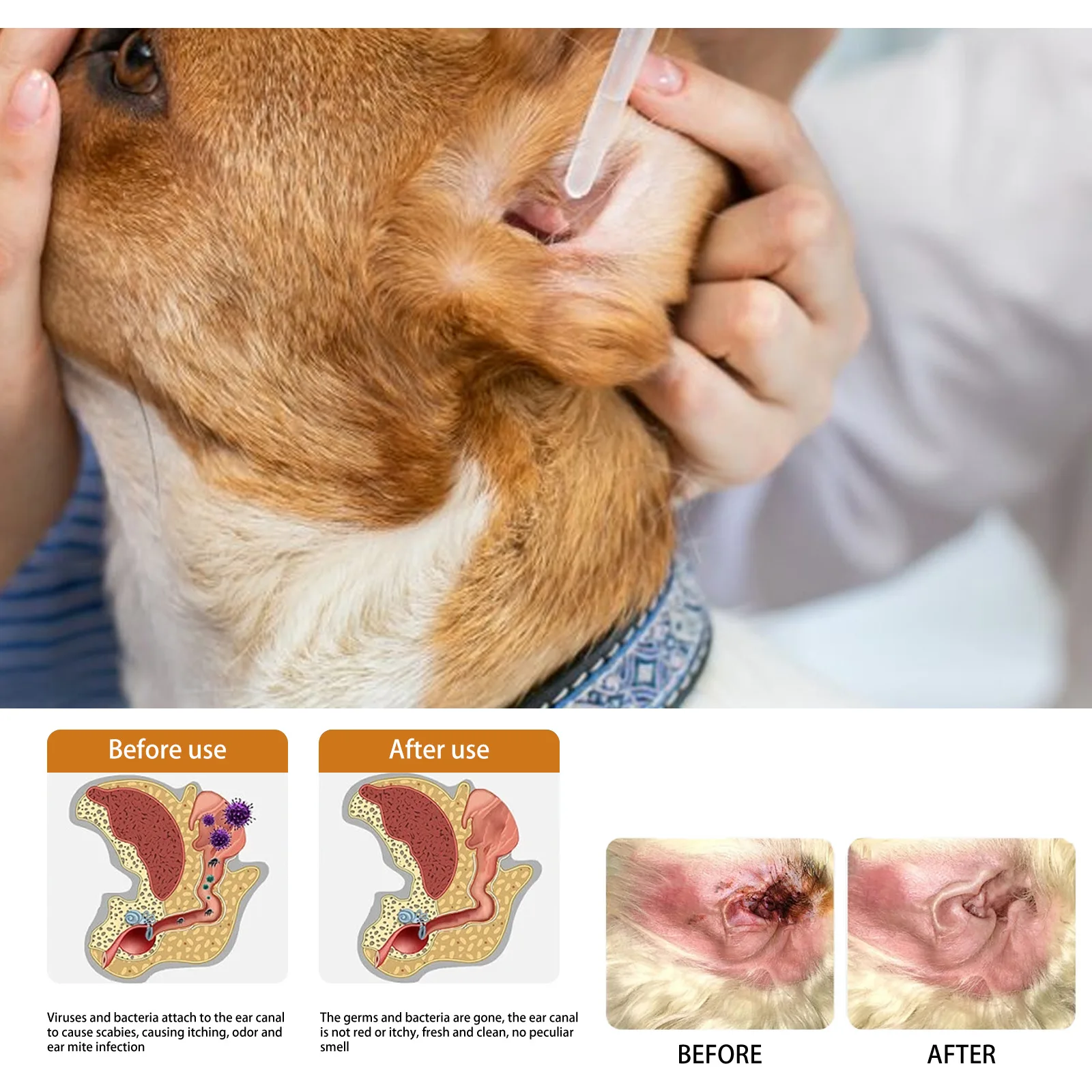 Evcil Hayvanlar Kulak Temizley - Pet Ear Cleaner incelemesi ve fiyatı
