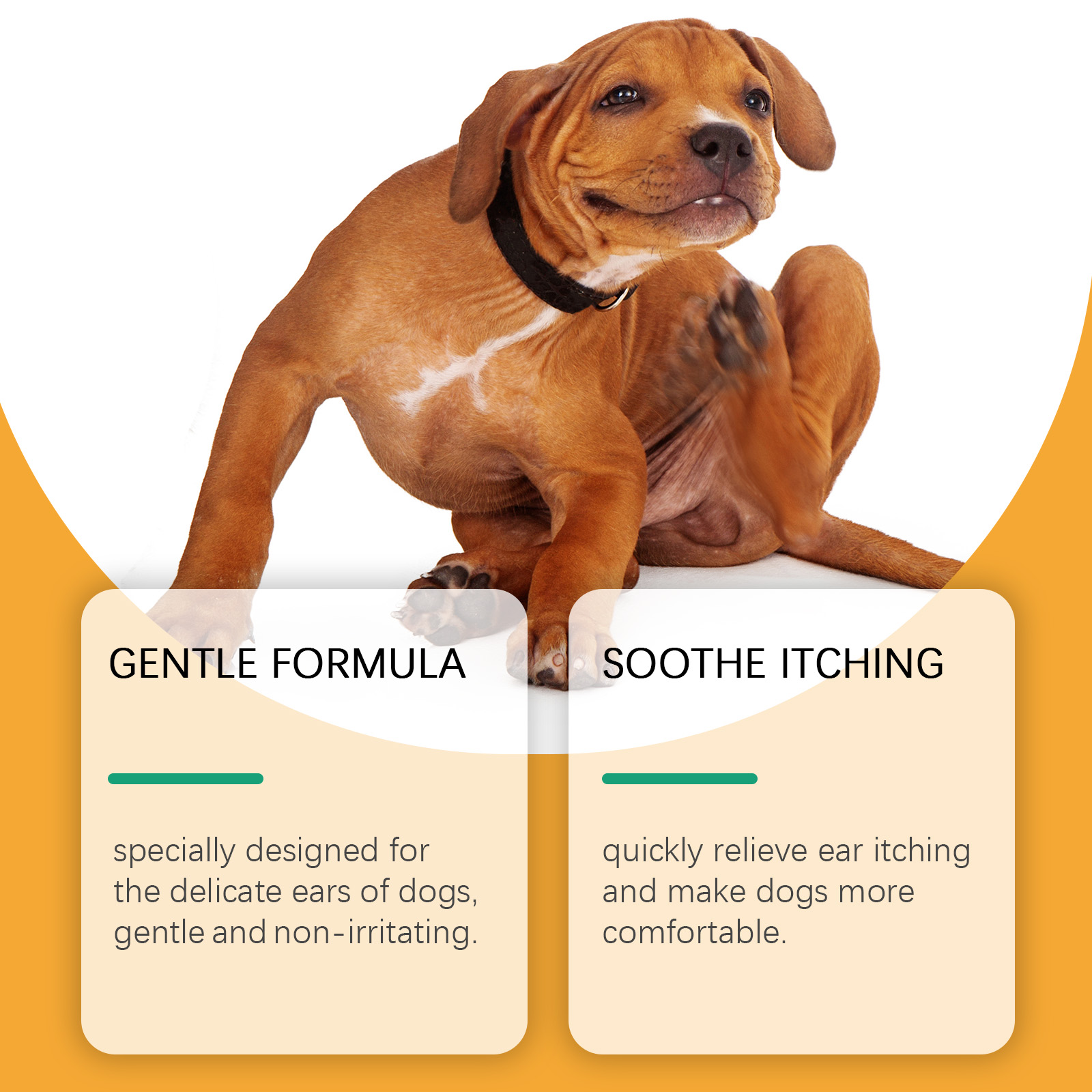60 ml Köpek Kulak Bakım Damlal - Pet Ear Cleaner incelemesi ve fiyatı