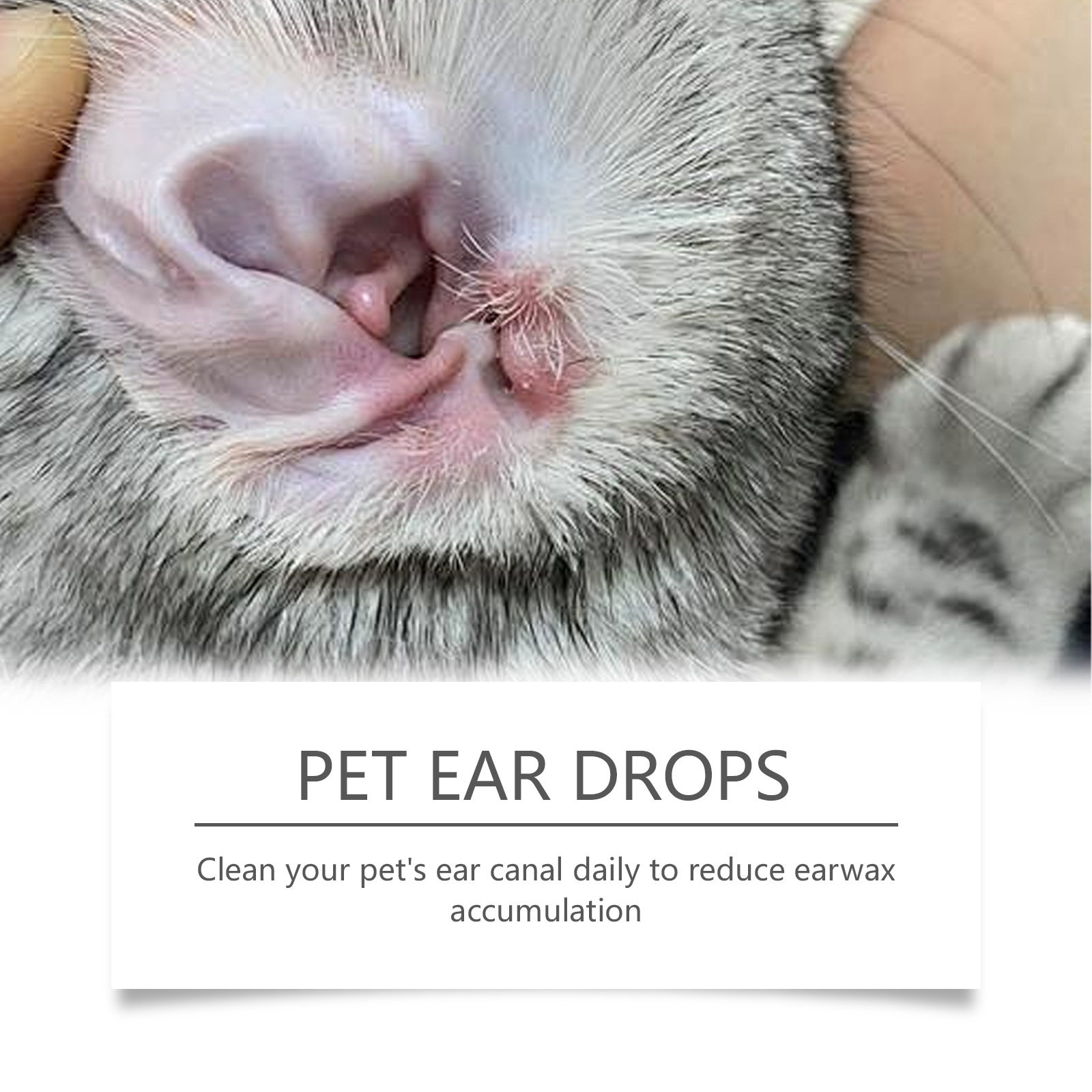 Pet Kulak Temizleyici Kulak Ak - Pet Ear Cleaner incelemesi ve fiyatı
