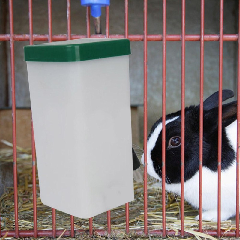 Evcil Hayvan Suluk Şişe Dağıtı - Pet Water Fountain incelemesi ve fiyatı