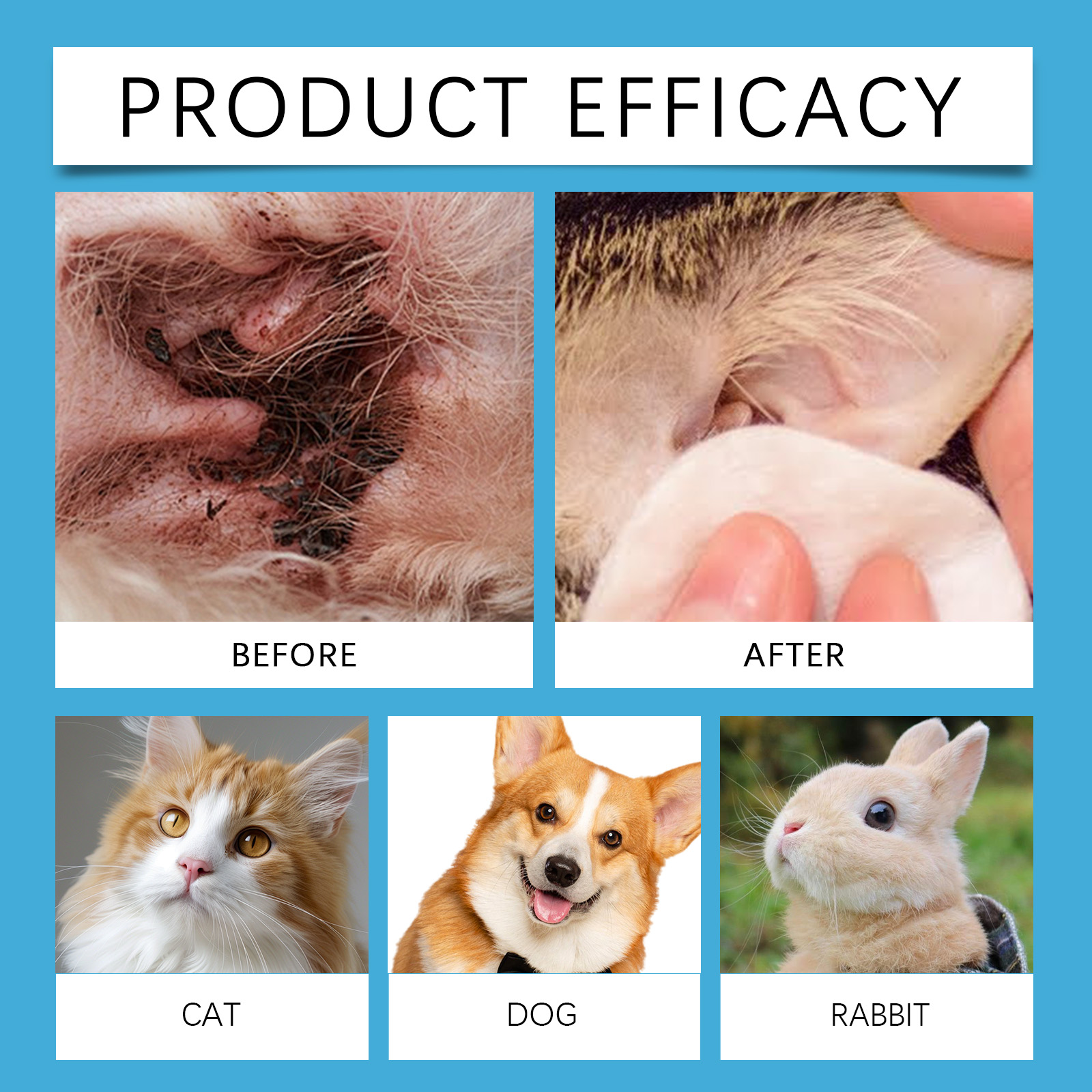 Evcil Hayvan Kulak Temizleyici - Pet Ear Cleaner incelemesi ve fiyatı