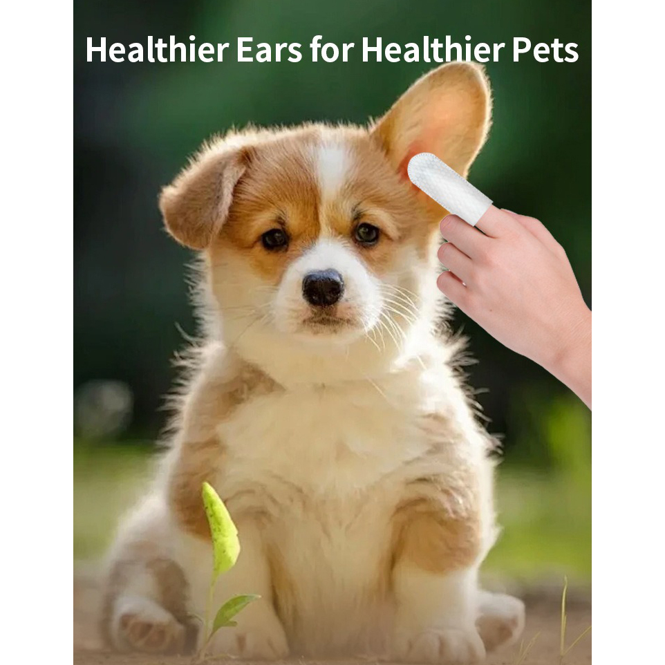 Evcil Hayvan Temizlik Ürünleri - Pet Ear Cleaner incelemesi ve fiyatı